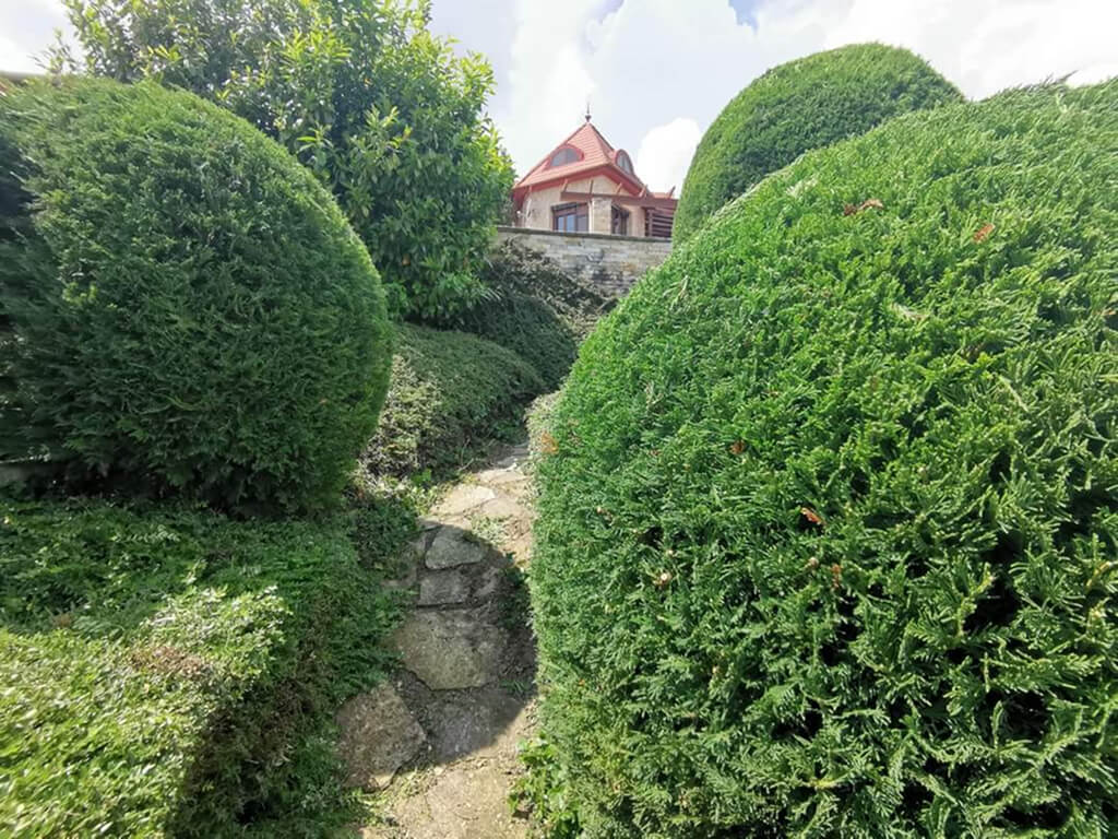Kertész Pécs